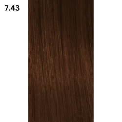 Insight Incolor - Vopsea INSIGHT Incolor COPPER GOLDEN [ .43]